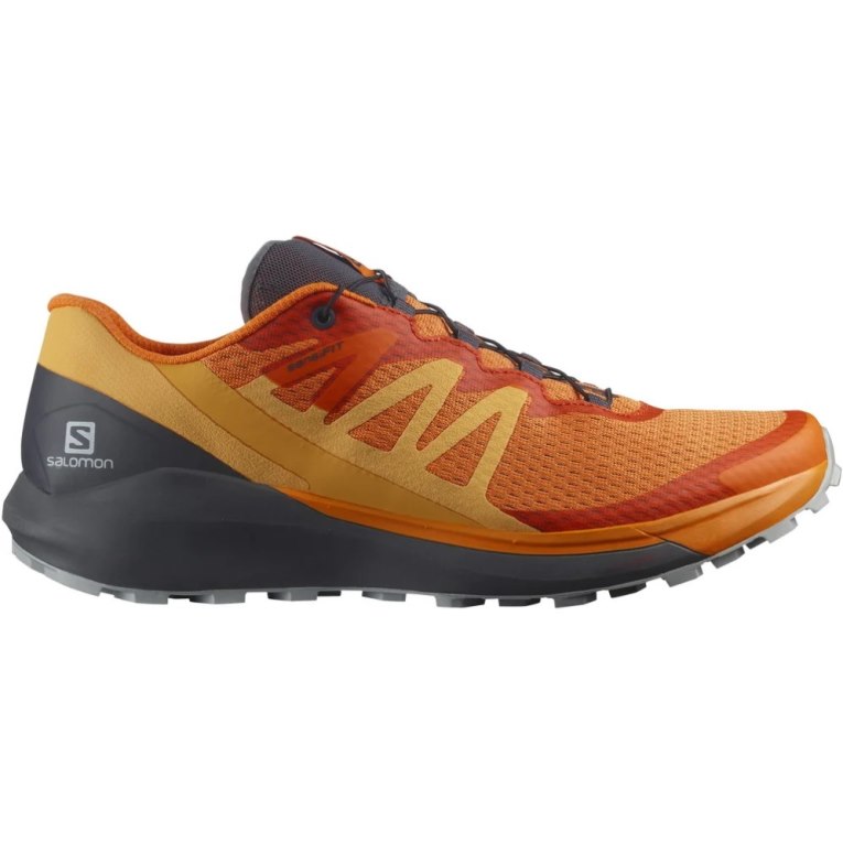 Sapatilhas Trail Running Salomon Sense Ride 4 Masculino Laranja | PT W37421